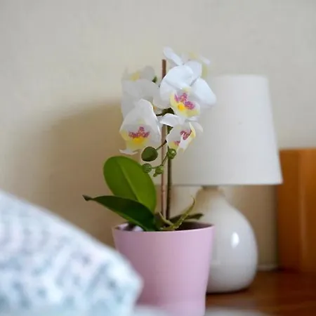 Accommodatie bij particulieren U Malika-blisko Do Term I Goracy Potok-rabaty