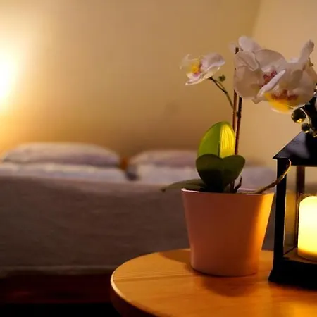 Homestay U Malika-blisko Do Term Szaflary I Goracy Potok-rabaty Bialy Dunajec