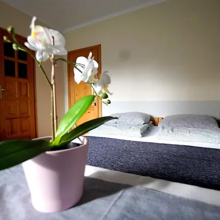 Homestay U Malika-blisko Do Term Szaflary I Goracy Potok-rabaty Bialy Dunajec